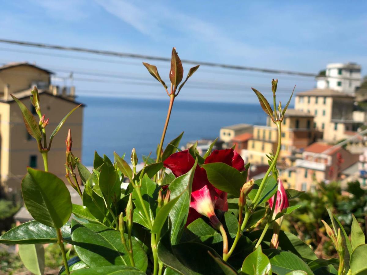 Cinque Terre Coast To Coast Hotel Riomaggiore Luaran gambar